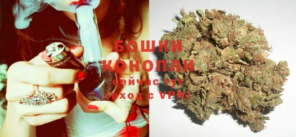 ПСИЛОЦИБИНОВЫЕ ГРИБЫ Абаза