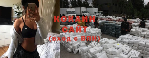 ПСИЛОЦИБИНОВЫЕ ГРИБЫ Абаза