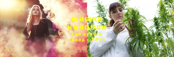 ПСИЛОЦИБИНОВЫЕ ГРИБЫ Абаза