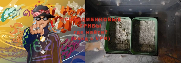 ПСИЛОЦИБИНОВЫЕ ГРИБЫ Абаза