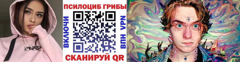 кракен как зайти  Югорск  Псилоцибиновые грибы Psilocybe 