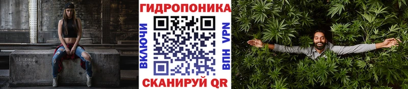 Конопля сатива  KRAKEN ТОР  Югорск 